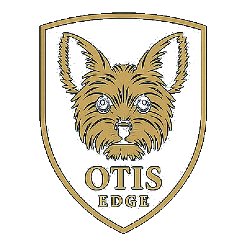 Otis Edge Analytics